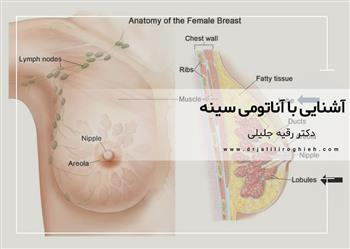 آشنایی با آناتومی سینه زنان